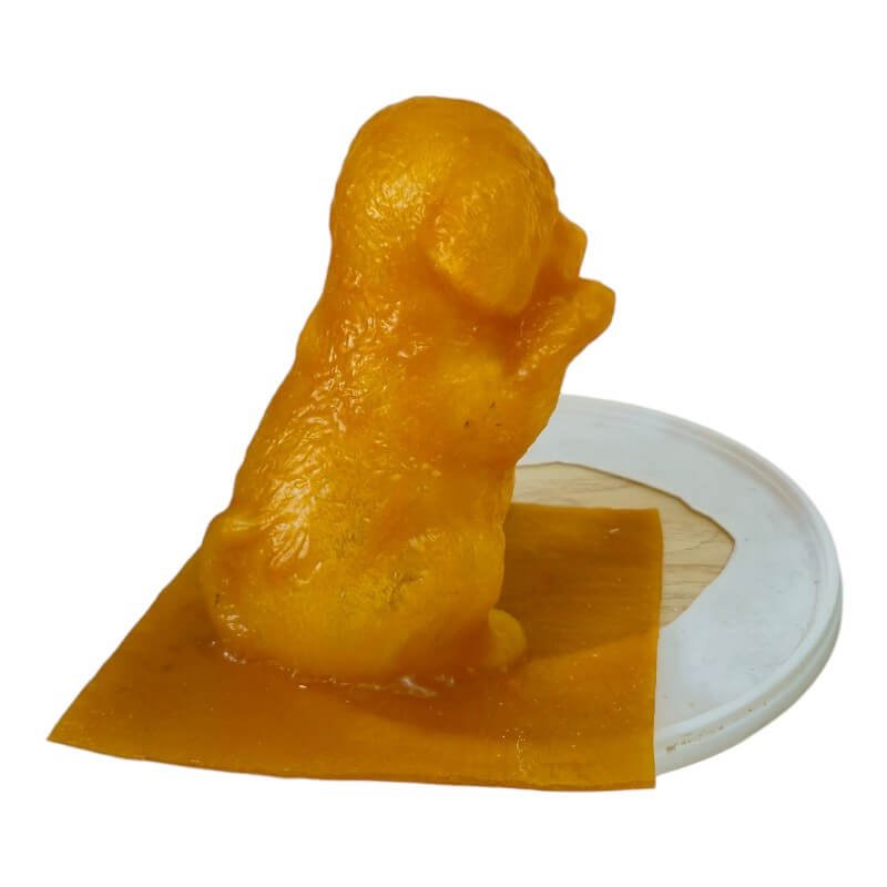 Eine Hunde Gießform mit Plastikdeckel 